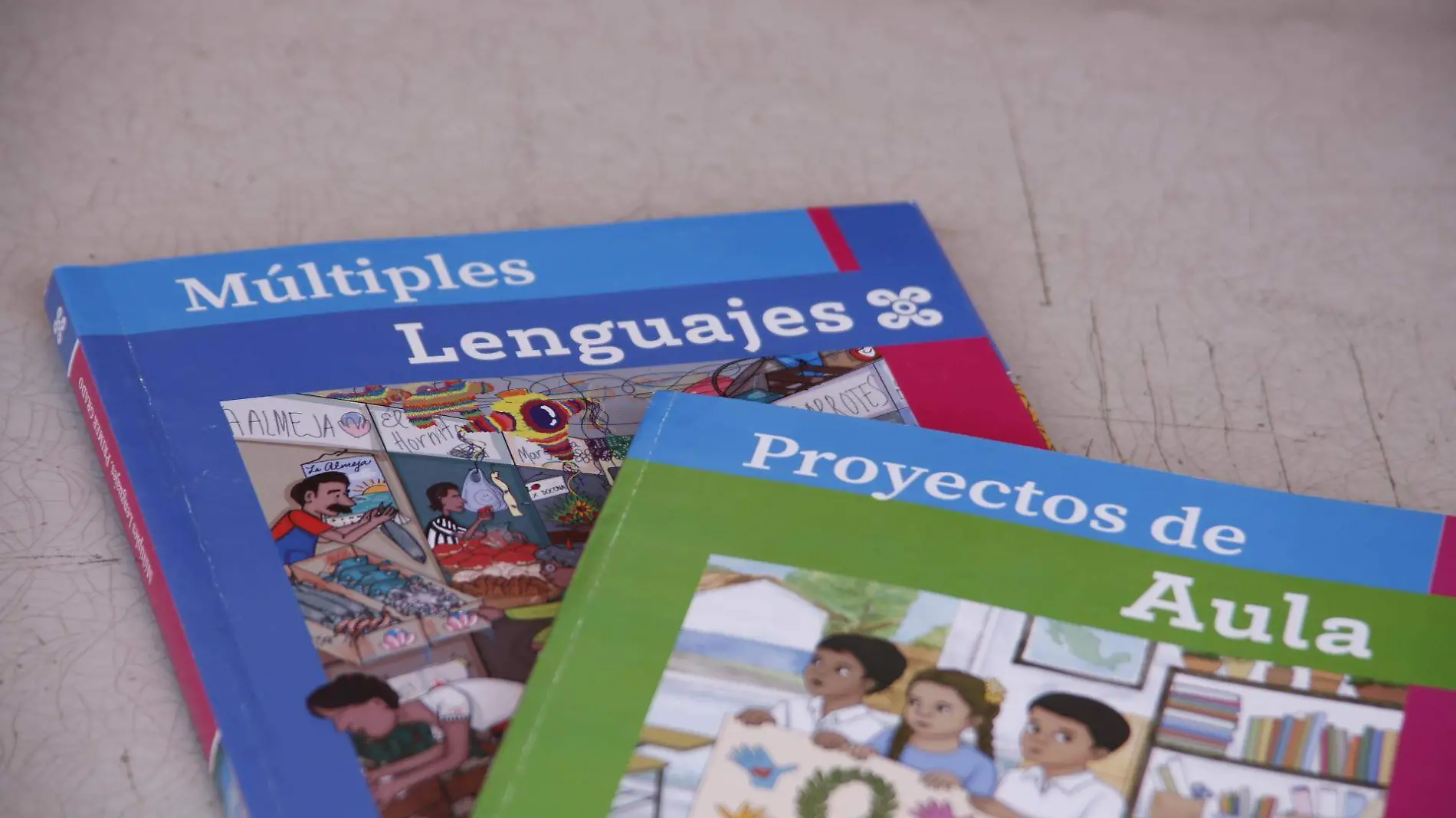 LIBROS F BEG (2)